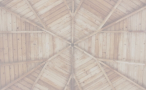 Hattinger Holzbau GmbH - Zimmerer aus Pramet, Ried im Innkreis