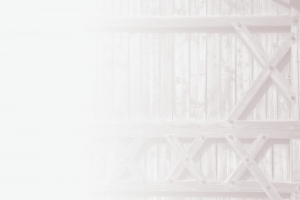 Hattinger Holzbau alte Holzwand